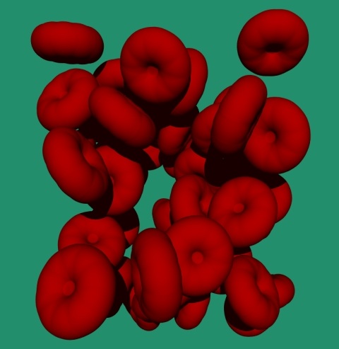 red cells Image not found